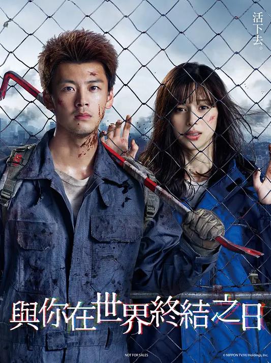 龙8网站怎么样