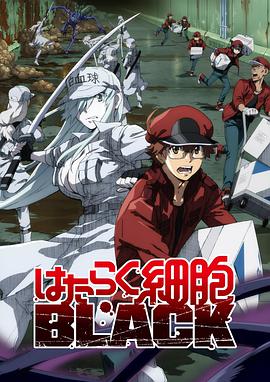 欧宝手机网页版