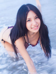 bob登录入口